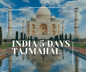 paket tour india