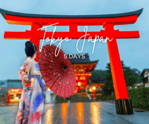 paket tour tokyo japan