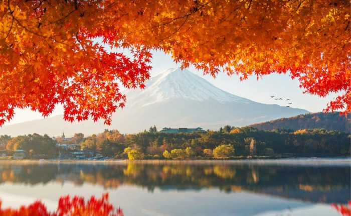 paket liburan ke jepang