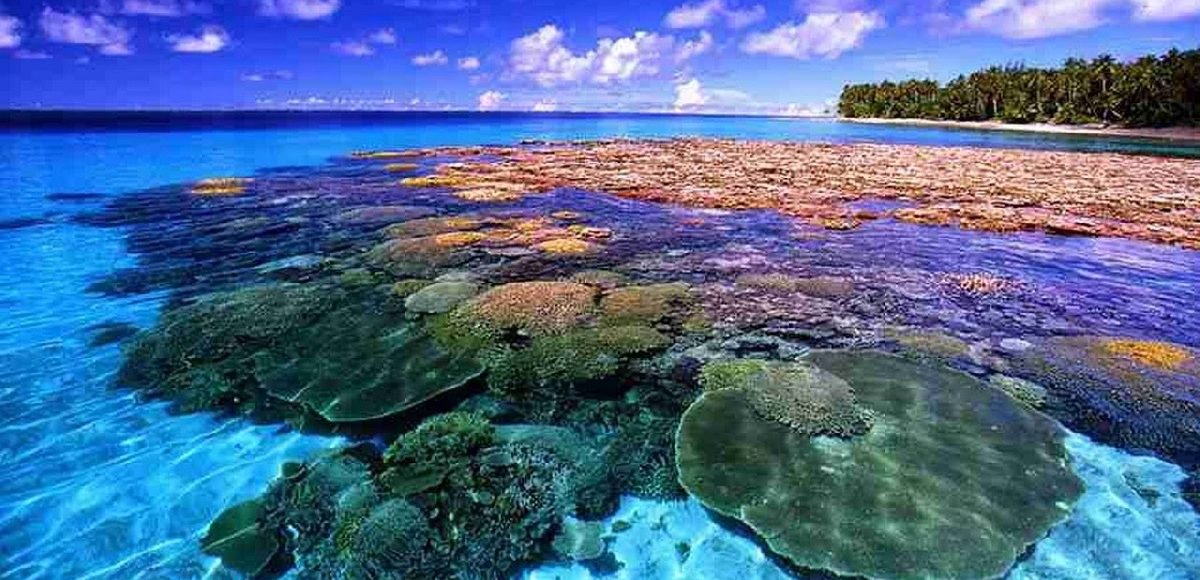 Paket Tour Manado Bunaken