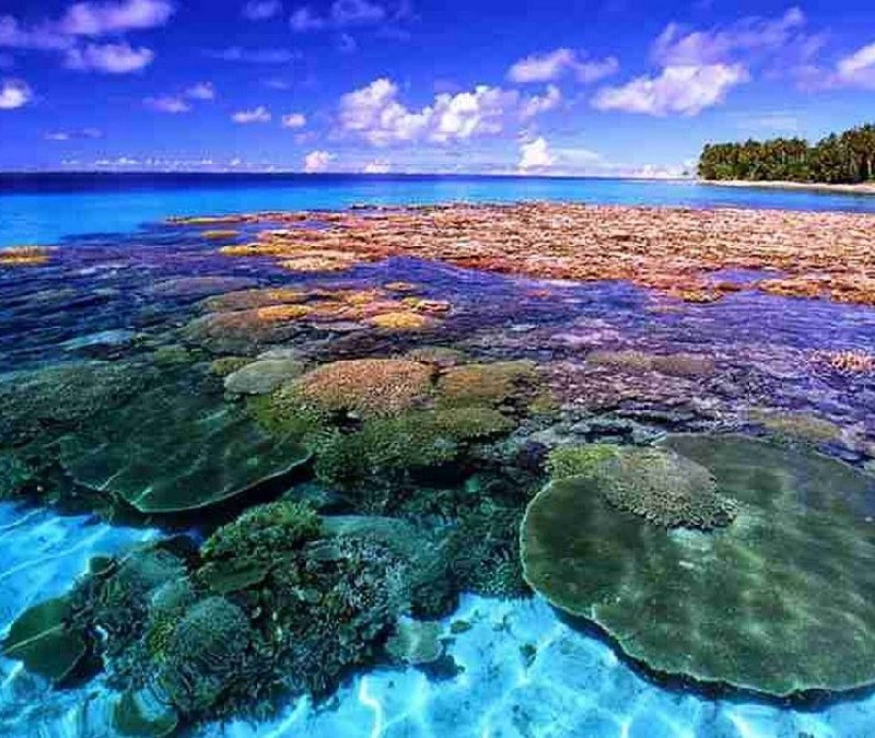 Paket Tour Manado Bunaken