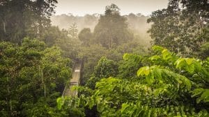borneo adventure tour