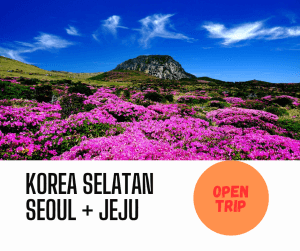 paket tour korea selatan